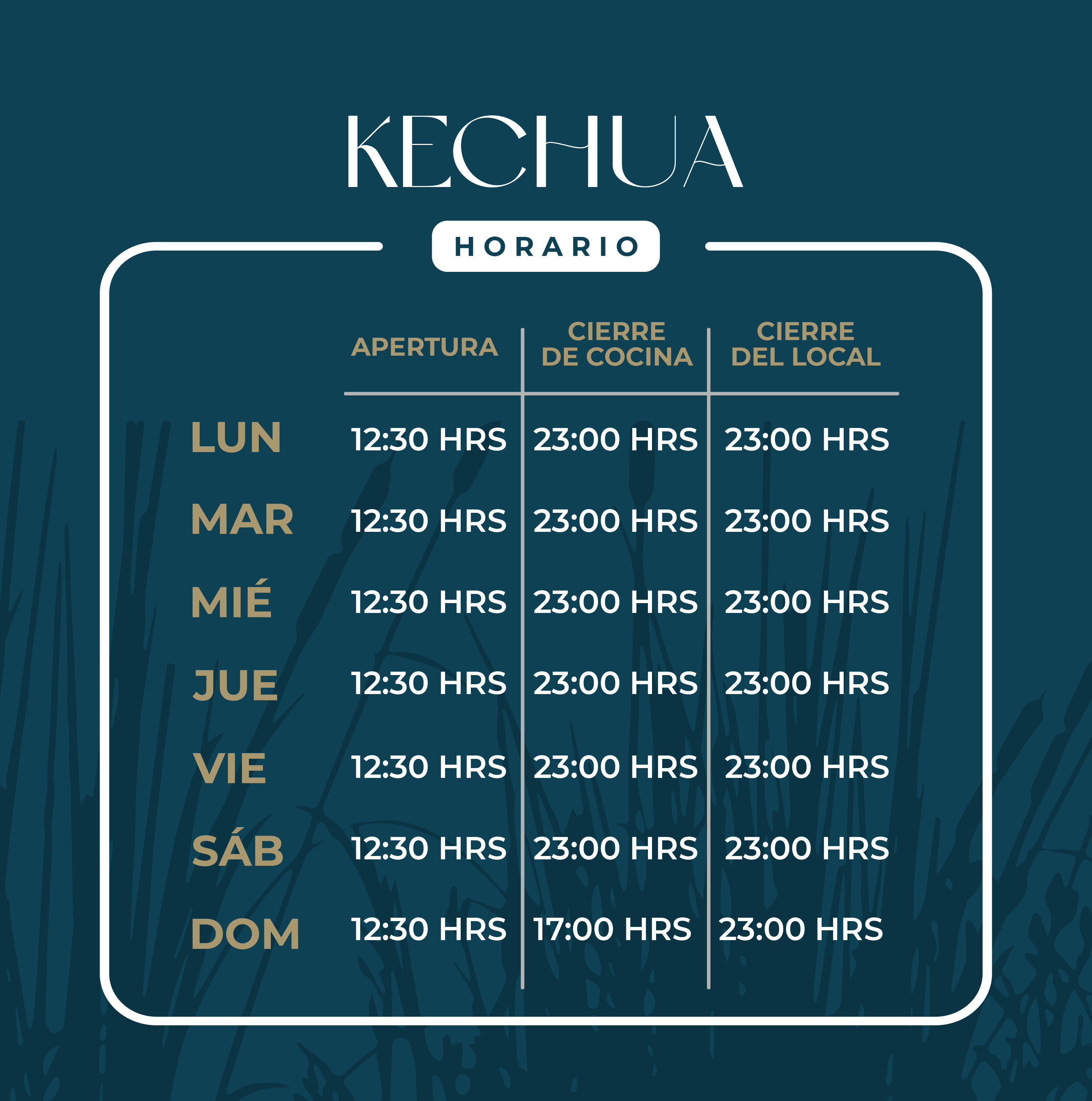 kechua borderio horarios
